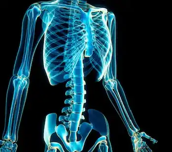 Posture & Skeletal Alignment
